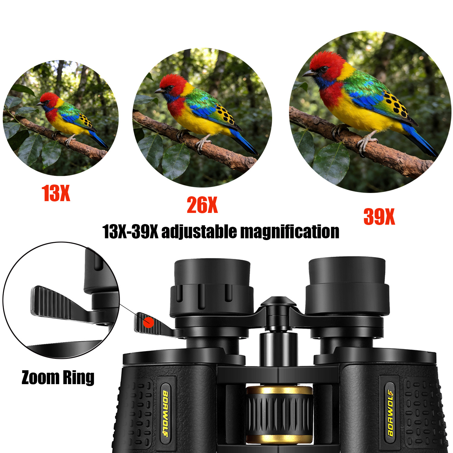 BORWOLF 13-39X70 ED 高倍率長距離ズーム  - National Geographic Telescope 70Mm のレビューと価格